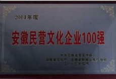 2014年度安徽民营文化企业100强