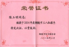 2014年度三八红旗手荣誉证书