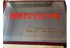 2017年度全省民营文化100强