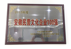 2015年度全省民营文化100强